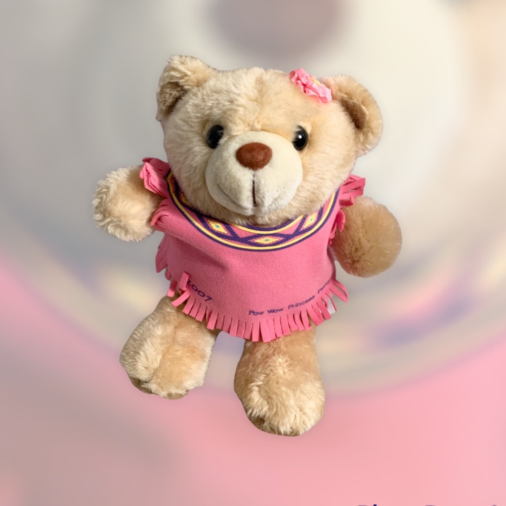 St Louis Teddy Bear Stuffed Plush